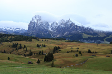 Alpe di Suisi - Dolomites - Italie