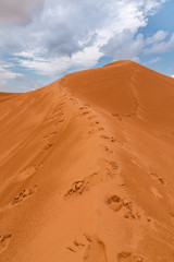 Fototapeta na wymiar Fußspuren führen auf spitze einer roten sanddüne, Coral Pink Sand Dunes State Park, Utah, USA