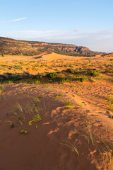 Abendsonne scheint auf sandige Dünenlandschaft, Coral Pink Sand Dunes State Park, Utah, USA
