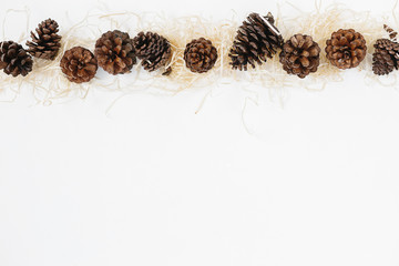 Set of pinecones on shavings.