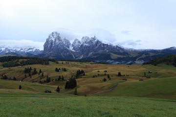 Fototapeta na wymiar Alpe di Suisi - Dolomites - Italie