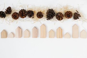 Lined up set of pinecones on wood shavings and wooden blocks house shape.