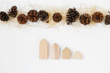 Lined up set of pinecones on wood shavings and wooden blocks house shape.