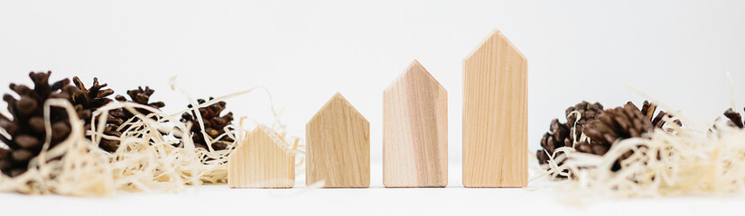 Lined up set of pinecones on wood shavings and wooden blocks house shape.