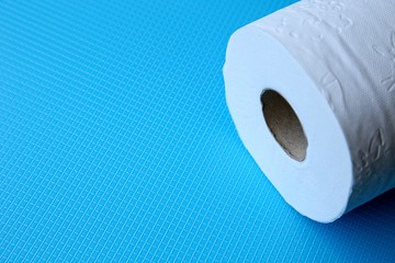 Rolls of toilet paper. Disaster management concept image. 