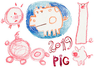 Chalk drawn collection of Pigs. 2019 Chinese New Year of the Pig. Christmas greeting card isolated...
