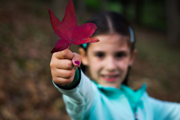 Smiling little girl holding red leaf on foreground during fall season. Cute kid enjoying forest in autumn. Nature connection concept