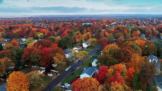 Aerial view of residential area in Autumn with colorful foliage