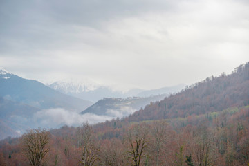 Fototapeta na wymiar mountains and autumn forest in clouds and fog