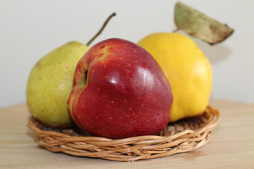 Naklejka na ściany i meble Apple, pear and quince 