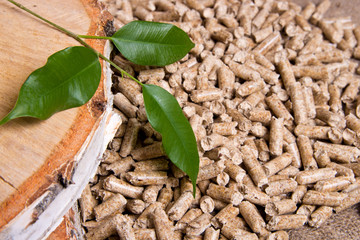 Wood pellets, birch and twig with leaves. Biomass Pellets- cheap energy. The concept of biofuel production