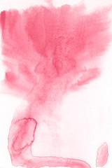 pink and pink rose petals on a white background