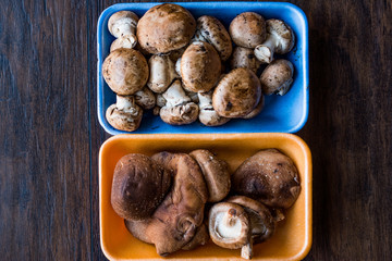 Shiitake and Cremini Mushrooms in Plastic Container Package or Box.