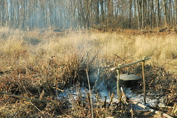 Lunch tourists in the woods.