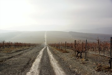 road in the field