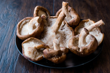 Shiitake Mushroom in Black Plate on Dark Wooden Surface.