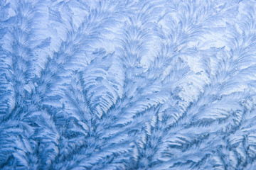 Eisblumen