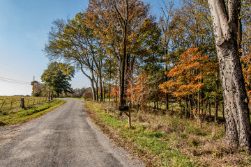 Autumn country road