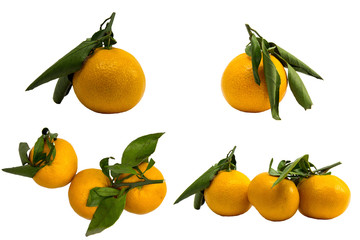 Mandarines, tangerine, clementine isolated on white background. Top view