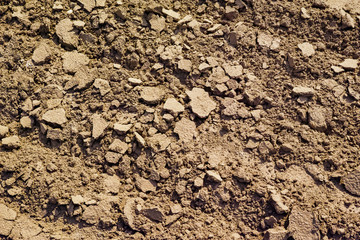 Dry soil