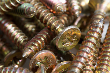 Detail of a golden wood screw.