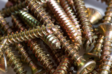 Detail of a golden wood screw.