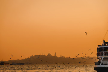 Fototapeta na wymiar Impressive view from foggy Istanbul city with passenger ship, buildings and seagulls at sunset background.