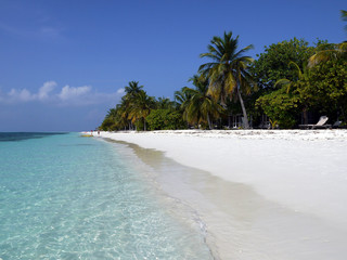 Beach on Kuredu island- Maldives 