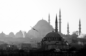 Eminonu,  Istanbul/ Turkey - 02 07 2014: Scenic view of Blue Mosque(Sultanahmet Cami) with behind...