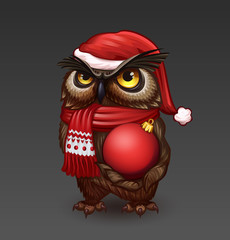 Owl in Christmas hat