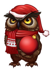 Owl in Christmas hat