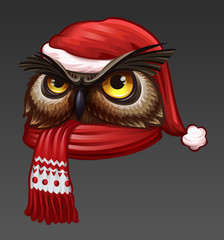 Owl portrait in Christmas hat