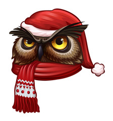 Owl portrait in Christmas hat