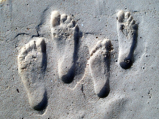 Footprints in the sand - seychelles
