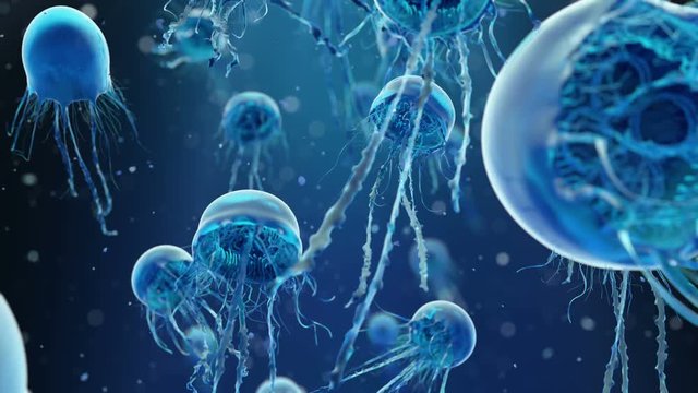 Blue Jellyfish are swimming in the deep dark sea. High quality animation. This video can be used as background or as stand-alone video. The video is a seamless loop. Full 4K 