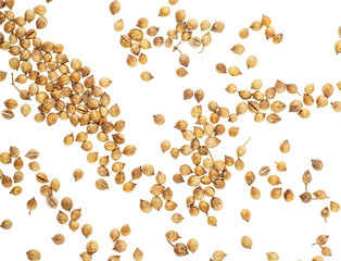 Coriander seeds isolated on white background, top view.