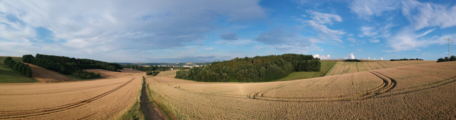 panorama rural summer landscape with a road