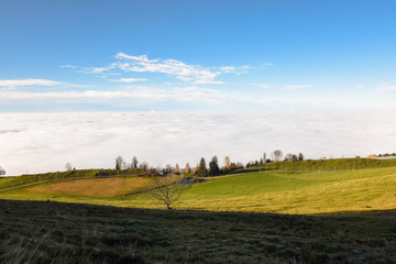 above the clouds