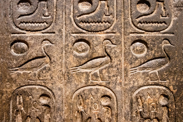 Old egypt hieroglyphs carved on the stone.