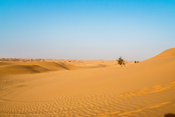 Fototapeta na wymiar minimalistische Wüsteaufnahme in Abu Dhabi