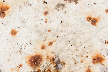 rusty white metal background, white metal plate with traces of rust, metal corroded texture, rusty metal background