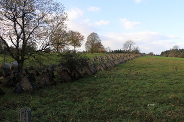 Dragontooth concrete anti tank defense stones in Belgium world war two 