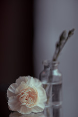 Flowers in vase - 235522792