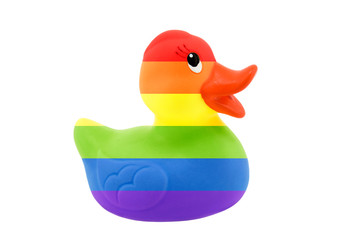 LGBT rainbow rubber duck isolated on white background
