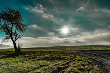 Feldweg Landschaft