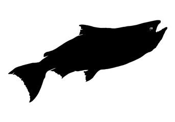 vintage fly fish,drawing animal,vector