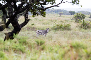 Südafrika Reise