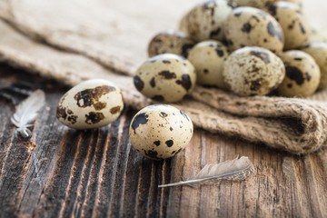 organic quail eggs