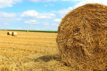 bales of hay
