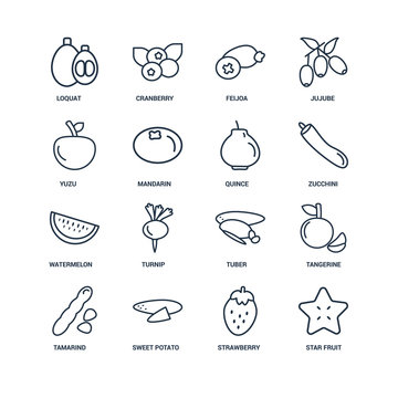 Star fruit, Strawberry, Sweet potato, Tamarind, Tangerine, Loqua